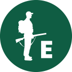 Witvoet Jagertje - Letter E