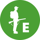 Witvoet Jagertje - Letter E
