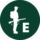 Witvoet Jagertje - Letter E